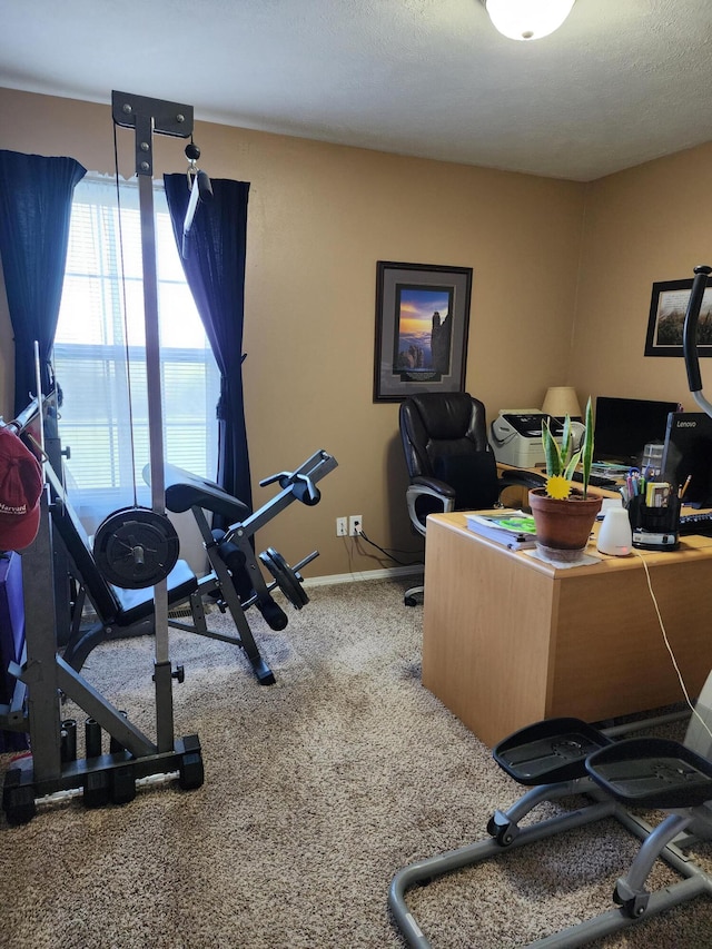 exercise area featuring a textured ceiling and carpet