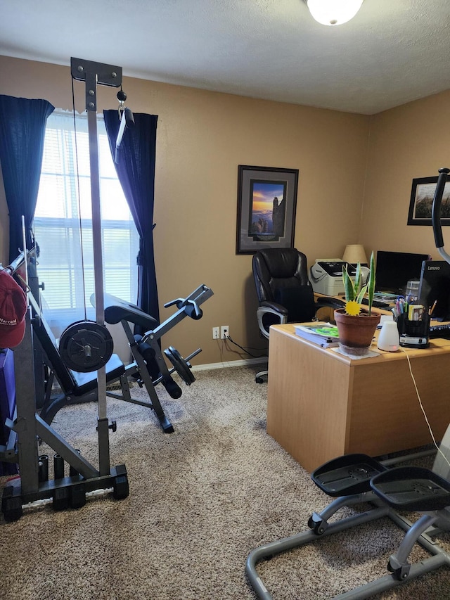 409 W Summit St, Aurora, MO 65605 - home office featuring carpet floors