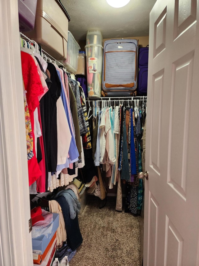 walk in closet with carpet floors