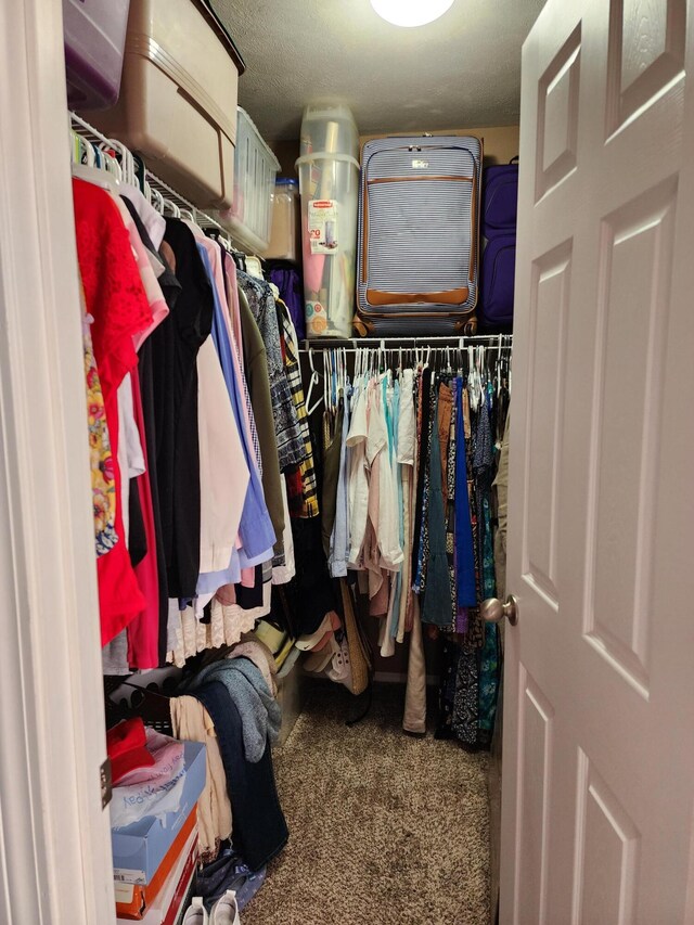 409 W Summit St, Aurora, MO 65605 - spacious closet featuring carpet