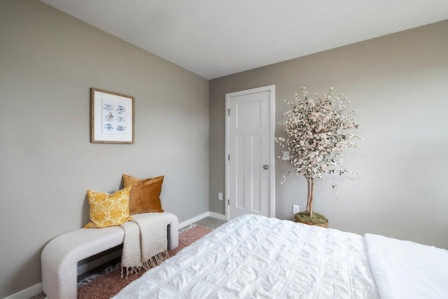 bedroom featuring carpet flooring