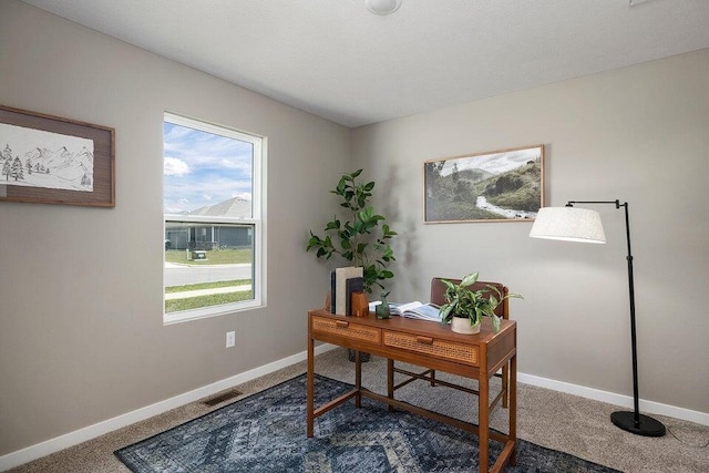 view of carpeted home office