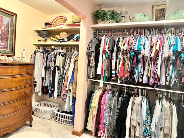 spacious closet with light carpet