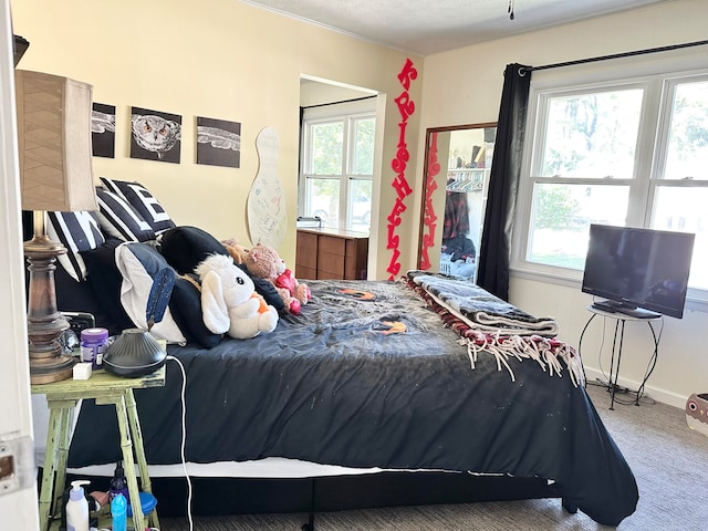 bedroom with multiple windows and carpet