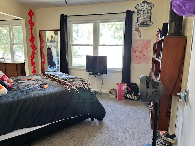 bedroom with carpet