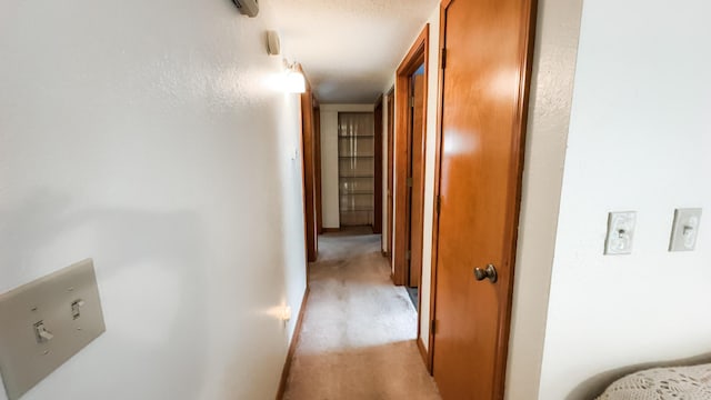 hallway with light carpet