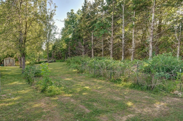 view of yard featuring a storage shed