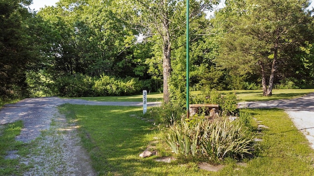 view of home's community featuring a yard