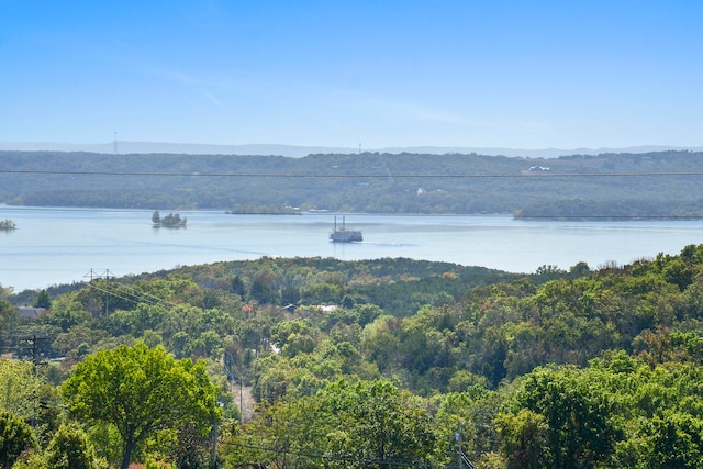 property view of water featuring a mountain view