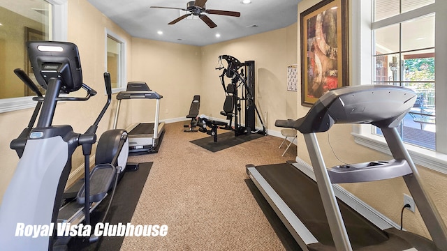 workout room featuring carpet floors and ceiling fan