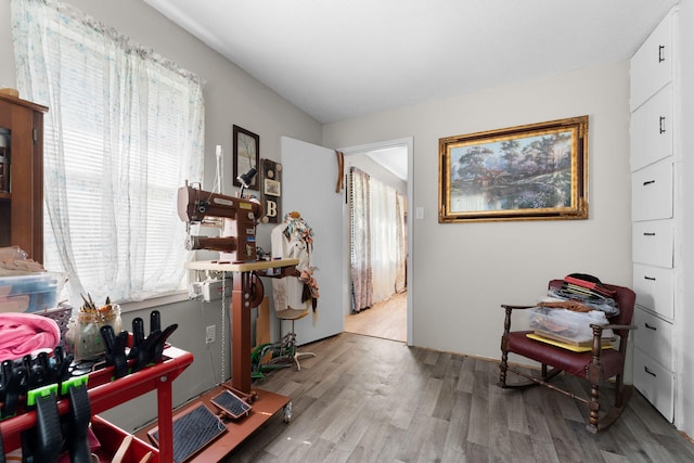 living area with light hardwood / wood-style floors