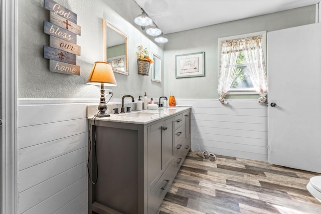 bathroom featuring wood finished floors, a sink, wooden walls, a wainscoted wall, and double vanity