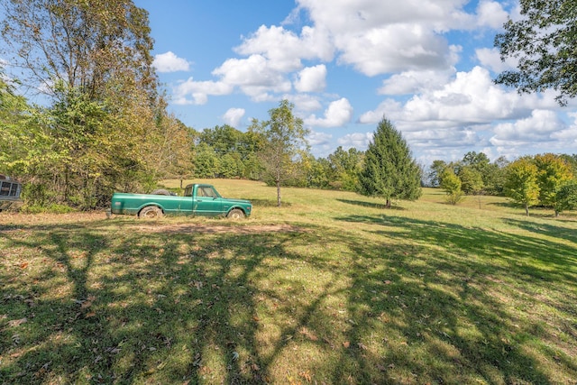 view of community featuring a yard