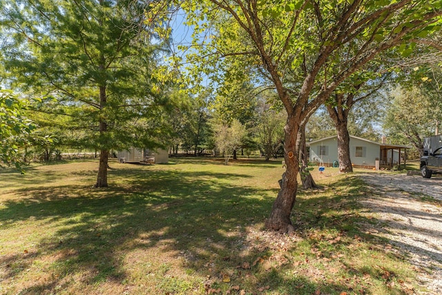 view of yard
