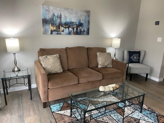 16 Fall Creek Trl Unit 2, Branson, MO 65616 - living room with wood finished floors and baseboards