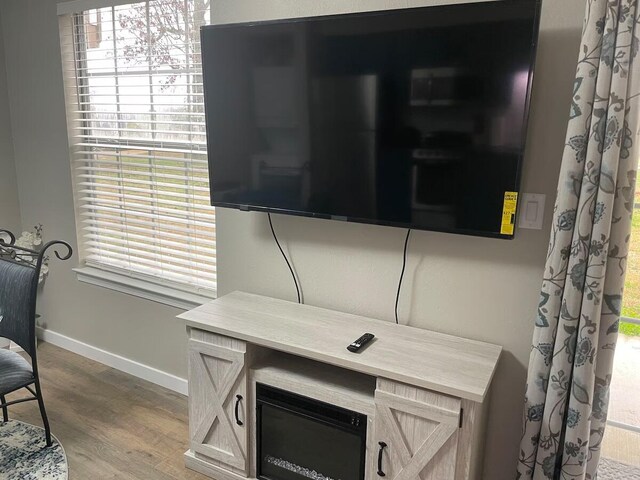 16 Fall Creek Trl Unit 2, Branson, MO 65616 - detailed view of wood finished floors and baseboards
