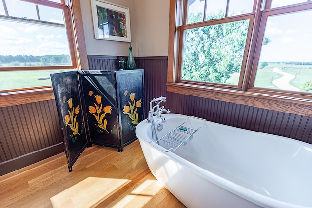 bathroom featuring a washtub and a healthy amount of sunlight