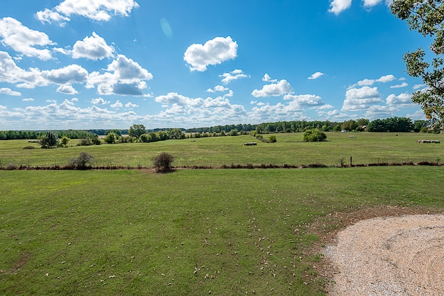 view of local wilderness with a rural view