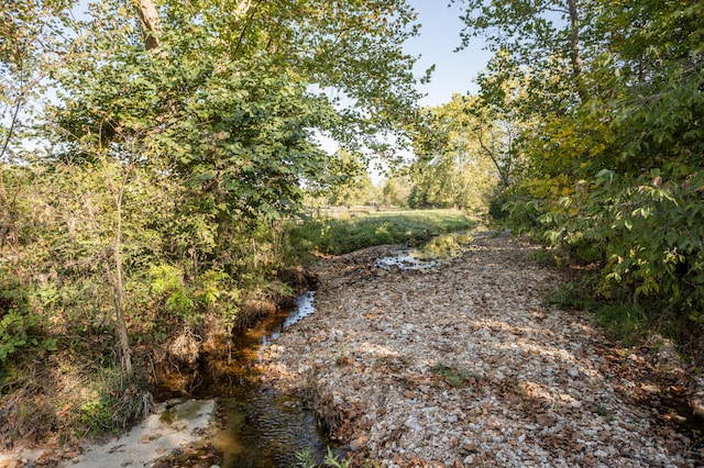 view of nature