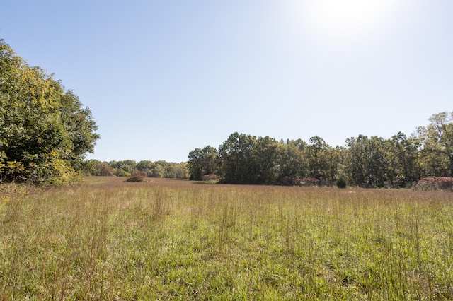 view of local wilderness with a rural view