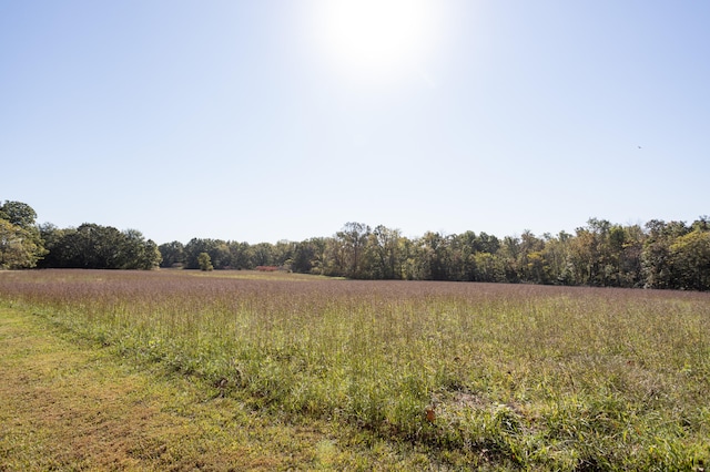 view of nature featuring a rural view