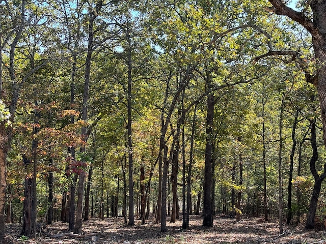 view of local wilderness