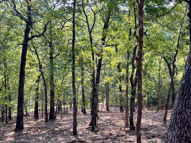 view of local wilderness