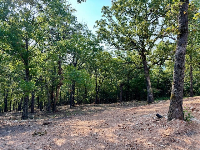 view of landscape