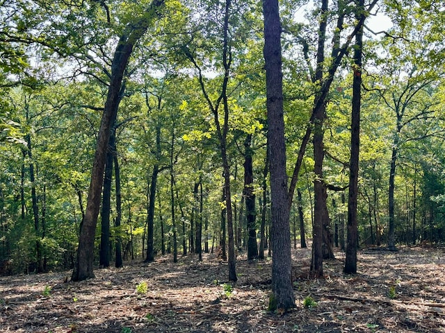 view of local wilderness