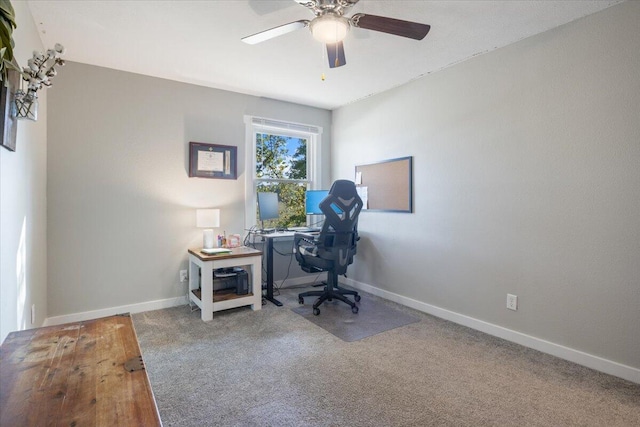 office space featuring ceiling fan and carpet flooring