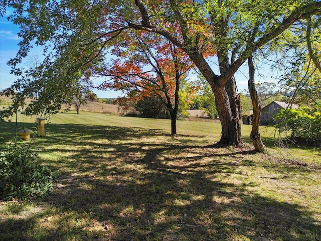 view of yard