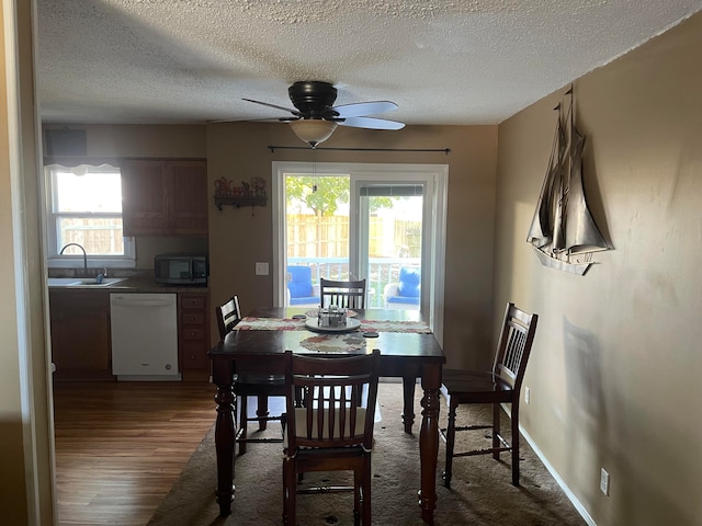 dining area with ceiling fan, plenty of natural light, sink, and dark hardwood / wood-style floors