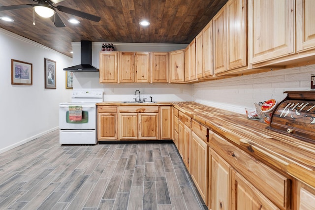 kitchen featuring wall chimney range hood, sink, electric range, dark hardwood / wood-style floors, and light brown cabinetry