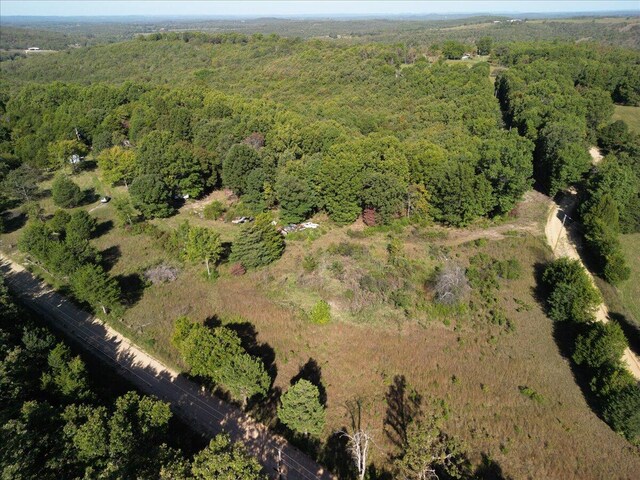 53 Della Rose Ln, Gainesville, MO 65655 - photo 19