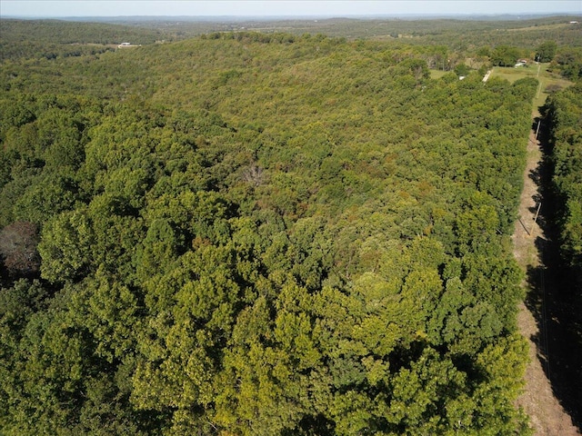 53 Della Rose Ln, Gainesville, MO 65655 - photo 20