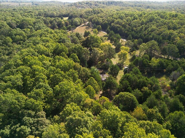 53 Della Rose Ln, Gainesville, MO 65655 - photo 7