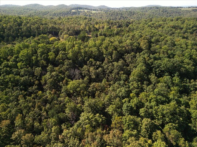 53 Della Rose Ln, Gainesville, MO 65655 - photo 22