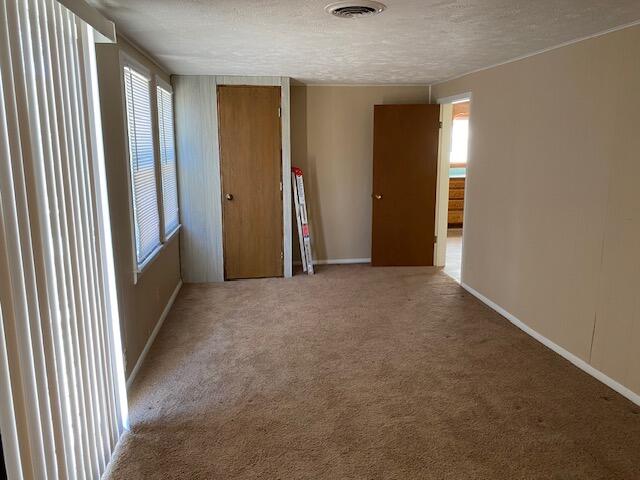 empty room with carpet flooring and a textured ceiling