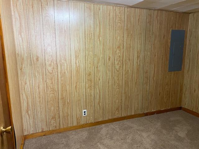 spare room with electric panel, carpet, and wooden walls