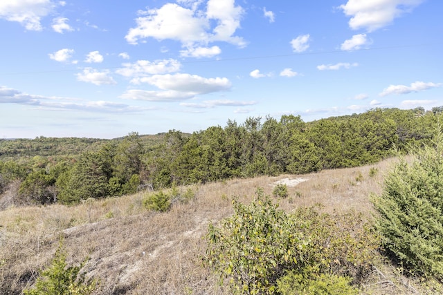 0000 Skyview Dr, Branson, MO 65616