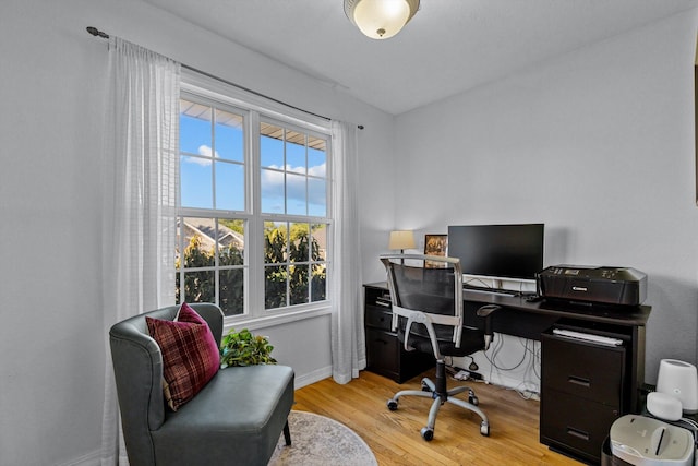 office area featuring light hardwood / wood-style floors