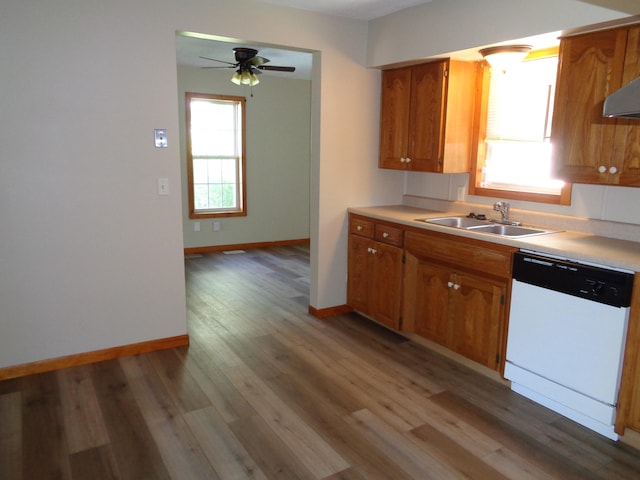 kitchen with ceiling fan, hardwood / wood-style floors, sink, and white dishwasher