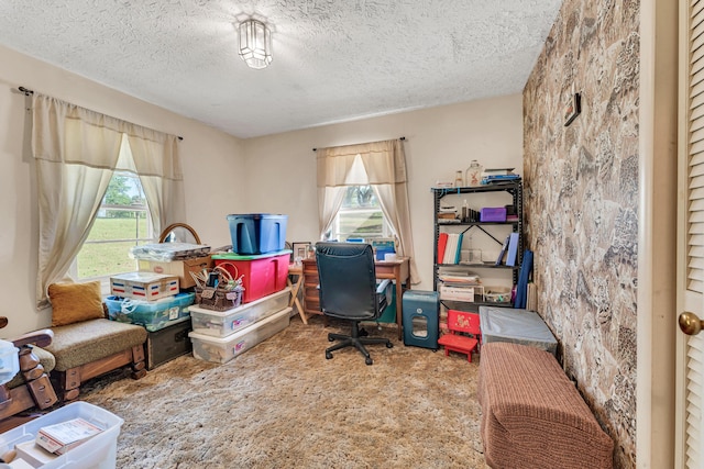 1400 W Oak St, Ozark, MO 65721 - carpeted home office with a textured ceiling