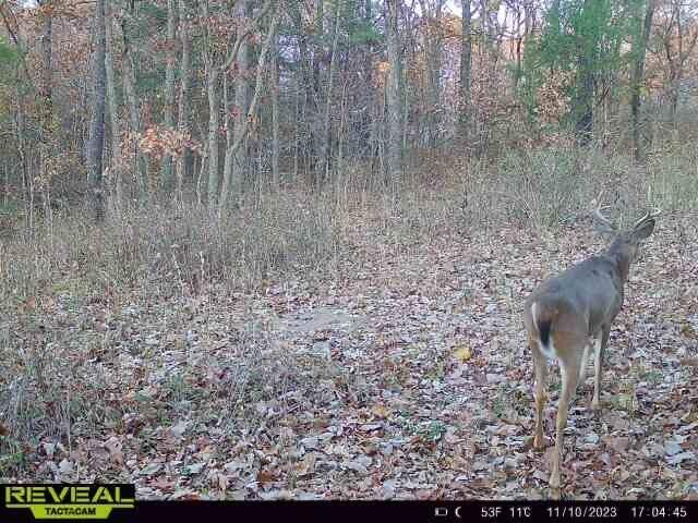 000 Old 60th Dr Unit 1, Seneca, MO 64865
