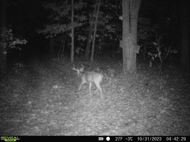 000 Old 60th Dr Unit 1, Seneca, MO 64865