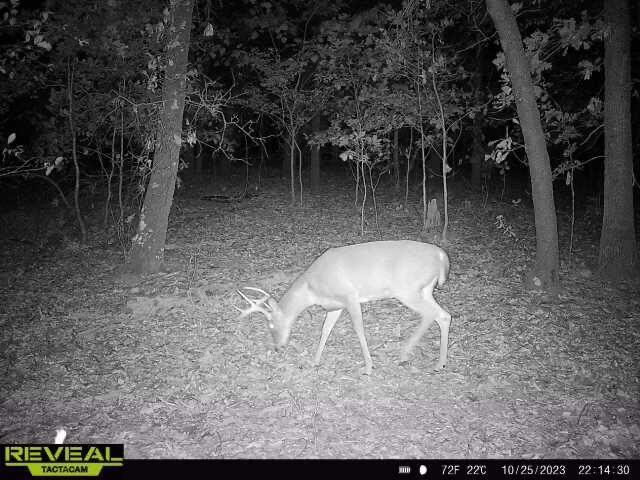 000 Old 60th Dr Unit 1, Seneca, MO 64865