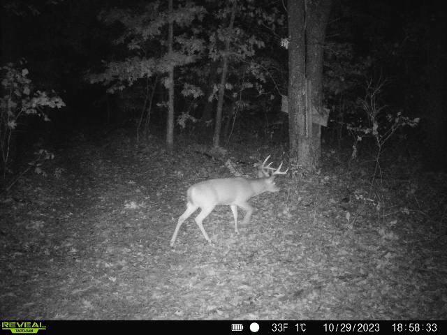 000 Old 60th Dr Unit 1, Seneca, MO 64865
