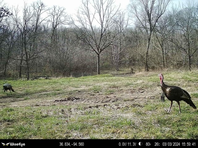 000 Old 60th Dr Unit 1, Seneca, MO 64865