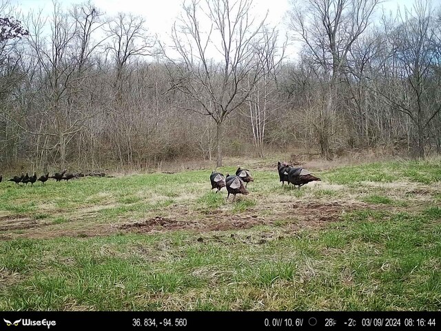 000 Old 60th Dr Unit 1, Seneca, MO 64865