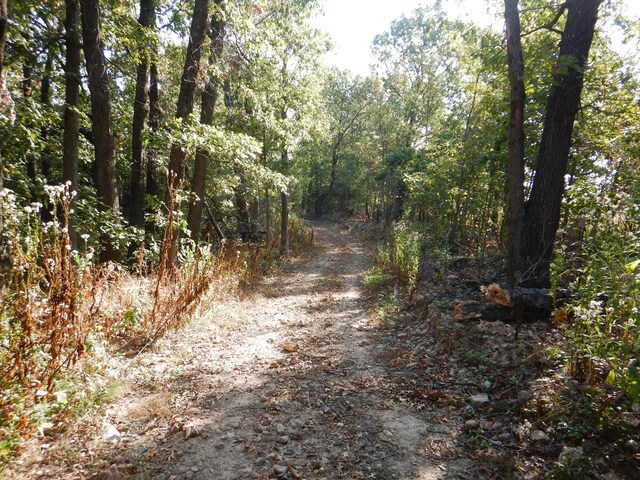 000 Old 60th Dr Unit 1, Seneca, MO 64865
